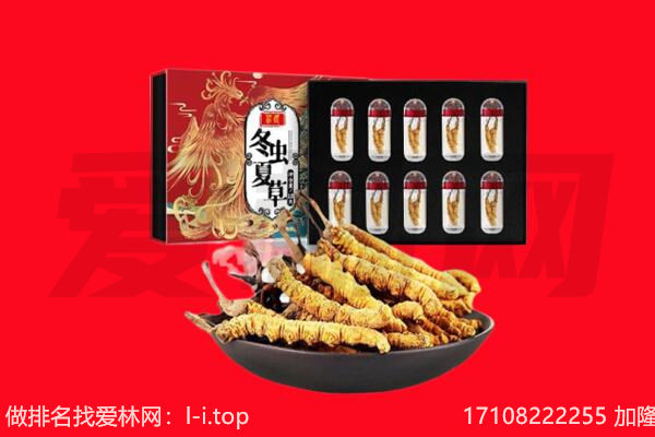 重庆江北区回收虫草.jpg